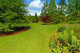 2026美加墨世界杯官网 武昌区环保园林绿化工程
